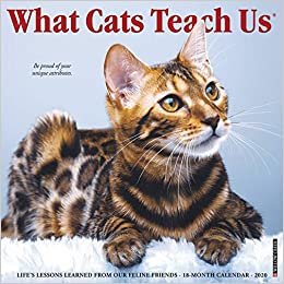 ダウンロード  What Cats Teach Us 2020 Calendar 本