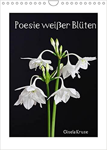 Poesie weisser Blueten (Wandkalender 2022 DIN A4 hoch): Weisse Blumenschoenheiten vor dunklem Hintergrund portraetiert (Monatskalender, 14 Seiten ) ダウンロード