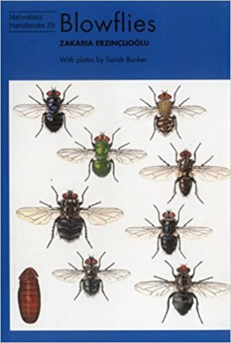 indir Erzinclioglu, Z: Blowflies (Naturalists&#39; Handbooks, Band 23)