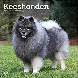 indir Keeshonden - Wolfsspitze 2021 - 16-Monatskalender mit freier DogDays-App: Original BrownTrout-Kalender [Mehrsprachig] [Kalender] (Wall-Kalender)