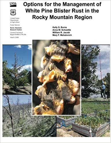 indir Options for the Management of White Pine Blister Rust in the Rocky Mountain Region