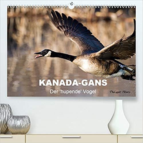 KANADA-GANS - Der 'hupende' Vogel (Premium, hochwertiger DIN A2 Wandkalender 2021, Kunstdruck in Hochglanz): Der 'hupende' Vogel (Monatskalender, 14 Seiten )