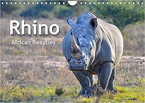 ダウンロード  Rhinos, african beauties (Wall Calendar 2022 DIN A4 Landscape): Wonderful animals, threatened with extinction (Monthly calendar, 14 pages ) 本
