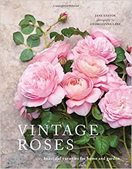 ダウンロード  Vintage Roses: Beautiful Varieties for Home and Garden 本