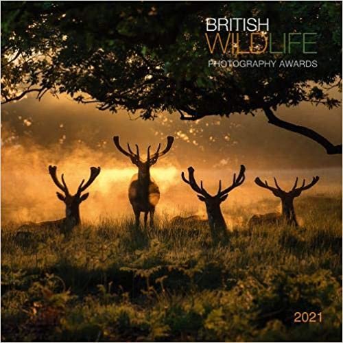British Wildlife 2021 Calendar: British Wildlife Photography Awards 2021 Calendar ダウンロード