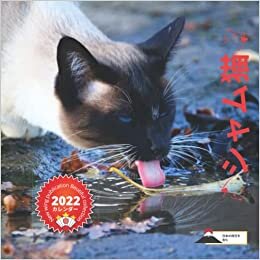 New wing publication Beautiful collection 2022 カレンダー シャム猫 (日本の祝日を含む)猫の引用を含む ダウンロード