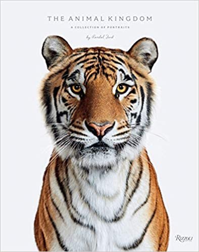 ダウンロード  Animal Kingdom: A Collection of Portraits 本
