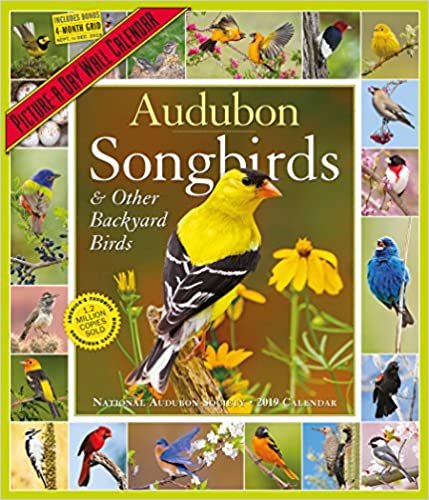 ダウンロード  Audubon Songbirds & Backyard Birds Picture-a-Day 2019 Calendar 本