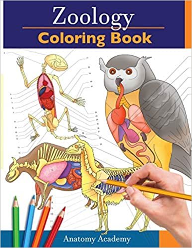 ダウンロード  Zoology Coloring Book: Incredibly Detailed Self-Test Animal Anatomy Color workbook | Perfect Gift for Veterinary Students and Animal Lovers 本
