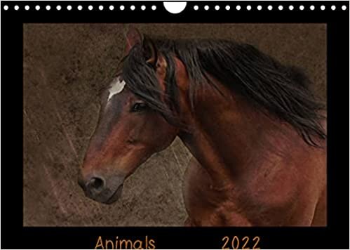 Animals (Wandkalender 2022 DIN A4 quer): Künstlerische Tierfotografien von A - Z (Monatskalender, 14 Seiten ) (CALVENDO Tiere)