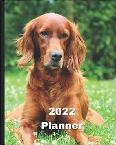 2022 Planner: Irish Setter Dog -12 Month Planner January 2022 to December 2022 Monthly Calendar with U.S./UK/ Canadian/Christian/Jewish/Muslim ... in Review/Notes 8 x 10 in.- Dog Breed Pets indir