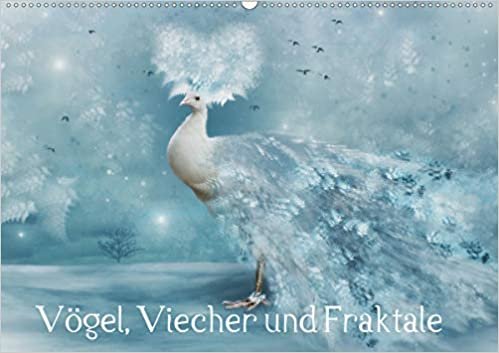 Vögel, Viecher und Fraktale (Wandkalender 2020 DIN A2 quer): Fraktale Fotokunst mit Tieren (Monatskalender, 14 Seiten ) (CALVENDO Kunst) indir