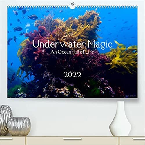 Underwater Magic (Premium, hochwertiger DIN A2 Wandkalender 2022, Kunstdruck in Hochglanz): Lass dich verzaubern von der Magie der faszinierenden Unterwasserwelt! (Monatskalender, 14 Seiten )