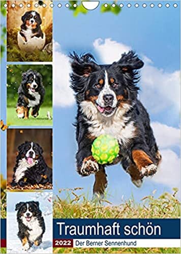 ダウンロード  Traumhaft schoen - Der Berner Sennenhund (Wandkalender 2022 DIN A4 hoch): Berner Sennenhunde von klein bis gross auf traumhaften Bildern (Planer, 14 Seiten ) 本