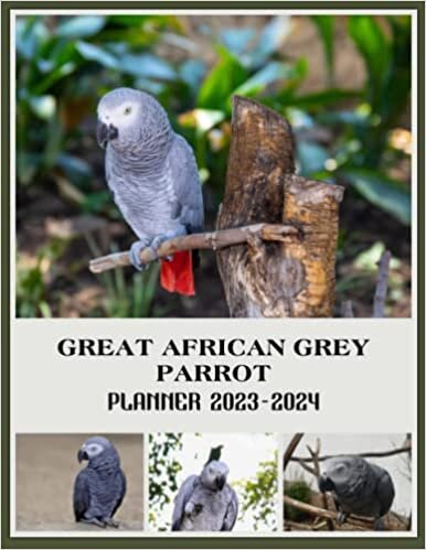 Great African Grey Parrot Planner Calendar 2023 - 2024: Great African Grey Parrot 2023-2024 Monthly Large Planner, 2023-2024 Planners For Women Men Dad Mom, Christmas Birthday Gifts For Student Teacher