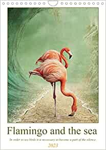 ダウンロード  Flamingo and the sea (Wall Calendar 2023 DIN A4 Portrait): Some of the most beautiful and graceful birds at your home in the most beautiful landscapes and colours. Enjoy them every month. (Monthly calendar, 14 pages ) 本