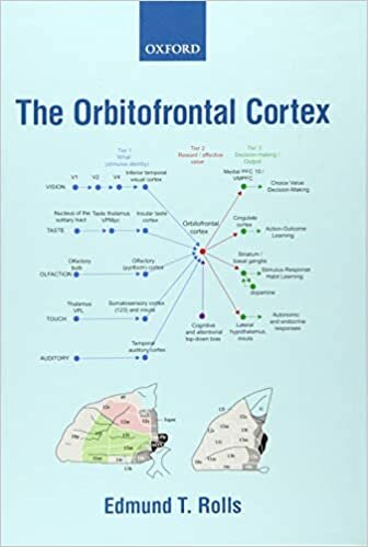indir The Orbitofrontal Cortex