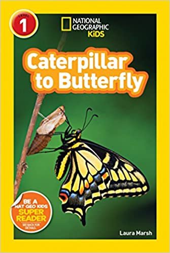 ダウンロード  National Geographic Readers: Caterpillar to Butterfly 本