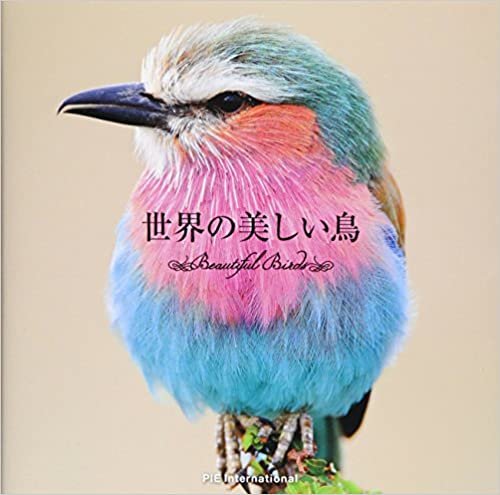 世界の美しい鳥 ダウンロード