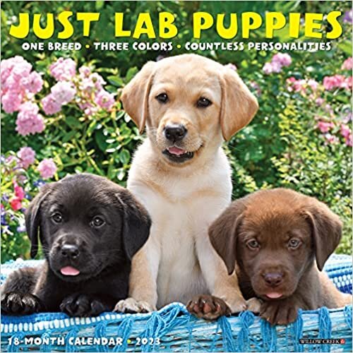 اقرأ Just Lab Puppies 2023 Wall Calendar الكتاب الاليكتروني 