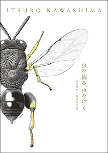 虫を観る、虫を描く 標本画家 川島逸郎の仕事
