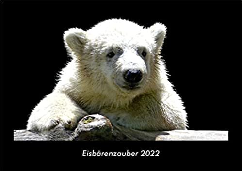 Eisbaerenzauber 2022 Fotokalender DIN A3: Monatskalender mit Bild-Motiven von Haustieren, Bauernhof, wilden Tieren und Raubtieren ダウンロード