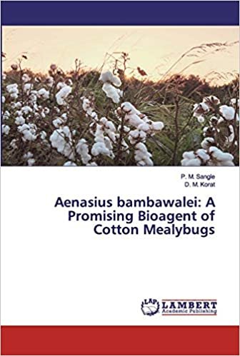 indir Aenasius bambawalei: A Promising Bioagent of Cotton Mealybugs