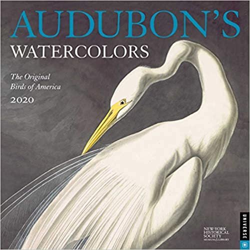 Audubon's Watercolors 2020 Wall Calendar: The Original Birds of America