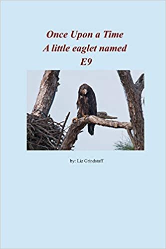 Once  Upon a Time A little Eaglet named E9