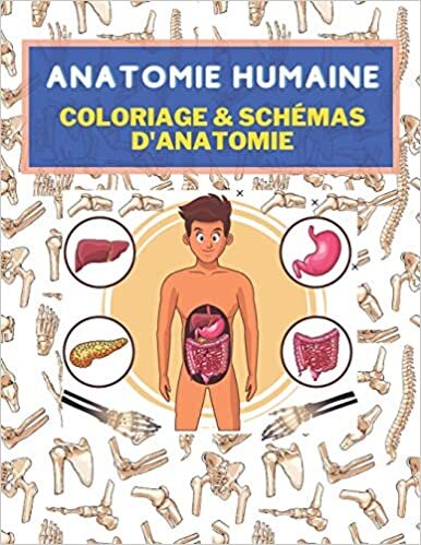 Anatomie humaine: Coloriage & schémas d'anatomie indir