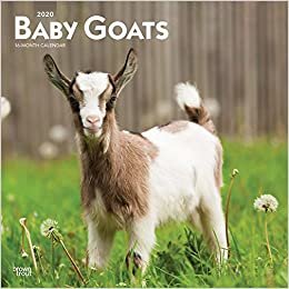 ダウンロード  Baby Goats 2020 Calendar 本