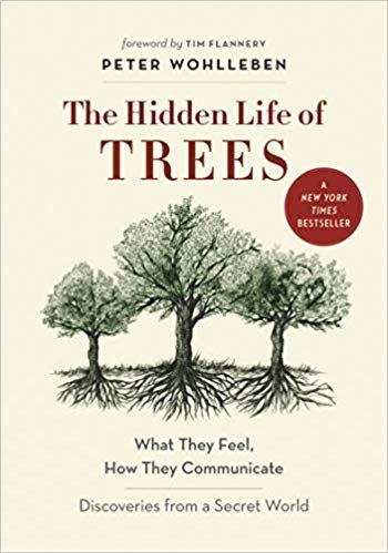 اقرأ The Life مخفي من الأشجار: ماذا They Feel ، How They أتواصل _ اكتشافات من Secret العالم الكتاب الاليكتروني 