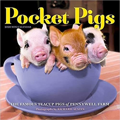 Pocket Pigs Mini Calendar 2020 indir