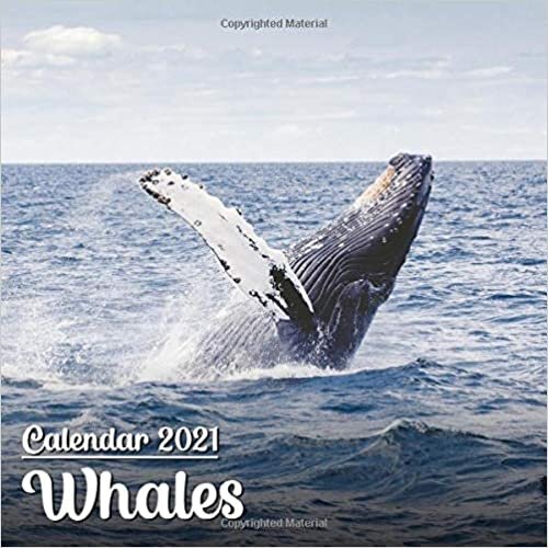 Calendar 2021 Whales: Cute Whales Photos Monthly Mini Calendar | Small Size indir