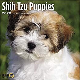 BRIGHT DAY Shih Tzu Puppies Calendar 2020 تكوين تحميل مجانا BRIGHT DAY تكوين