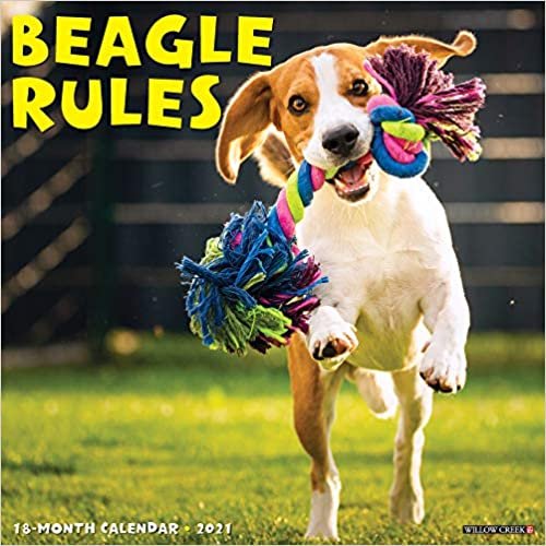 Beagle Rules 2021 Calendar