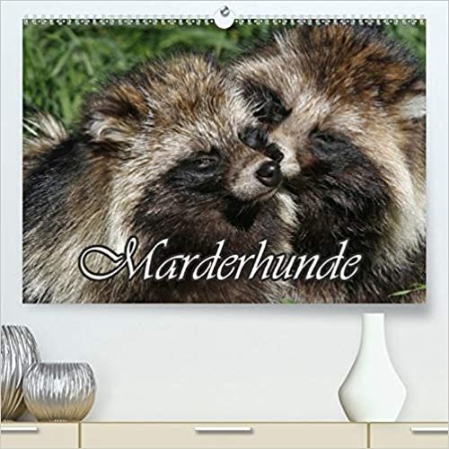 Marderhunde (Premium, hochwertiger DIN A2 Wandkalender 2021, Kunstdruck in Hochglanz): Putzige, pelzige Einwanderer (Monatskalender, 14 Seiten )