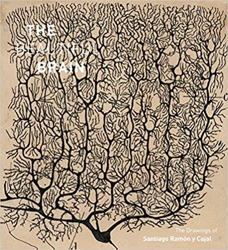 ダウンロード  Beautiful Brain: The Drawings of Santiago Ramon y Cajal 本