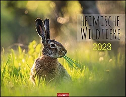 ダウンロード  Heimische Wildtiere Kalender 2023 本