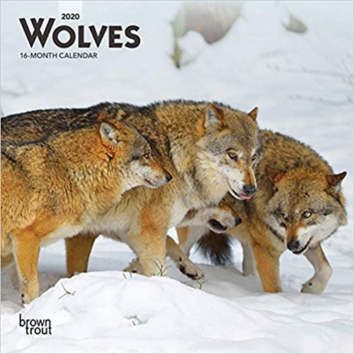 indir Wolves 2020 Mini Wall Calendar