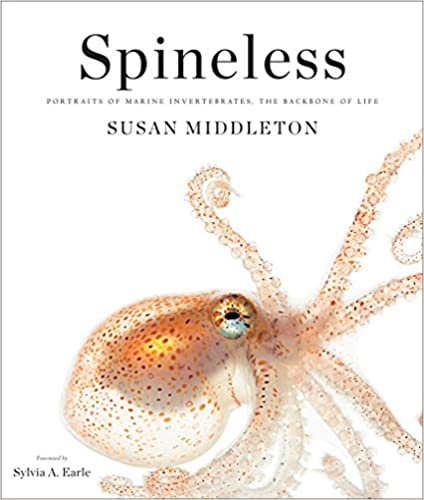 indir Spineless: Portraits of Marine Invertebrates, the Backbone of Lif: &quot;Portraits of Marine Invertebrates, the Backbone of Life&quot;