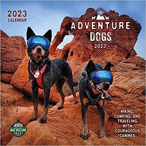 ADVENTURE DOGS 2023 WALL CALENDAR