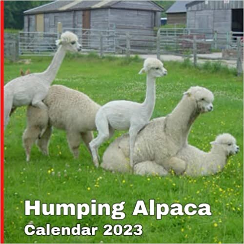 Humping alpaca calendar 2023