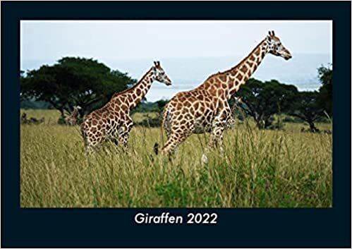 ダウンロード  Giraffen 2022 Fotokalender DIN A5: Monatskalender mit Bild-Motiven von Haustieren, Bauernhof, wilden Tieren und Raubtieren 本