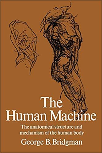 indir The Human Machine (Dover Anatomy for Artists)