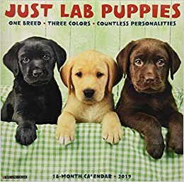 ダウンロード  Just Lab Puppies 2019 Calendar 本