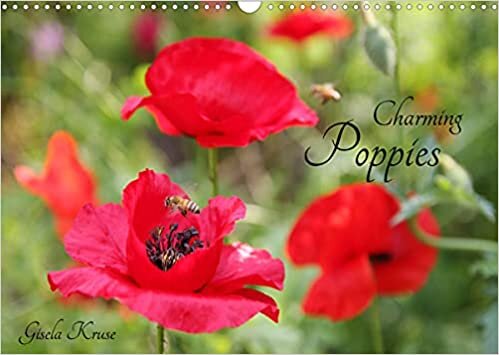 Charming Poppies (Wall Calendar 2023 DIN A3 Landscape): Pure summer joy with radiant red poppies (Monthly calendar, 14 pages )
