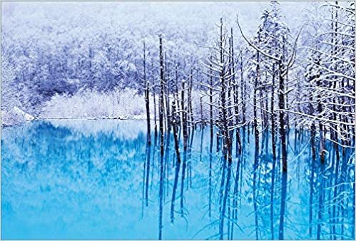 【Amazon.co.jp 限定】樹氷を映す青い池 美瑛町 ポストカード3枚セット P3-172