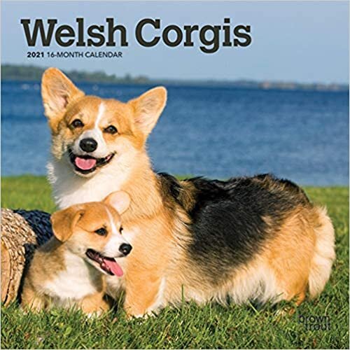 ダウンロード  Welsh Corgis 2021 Calendar 本