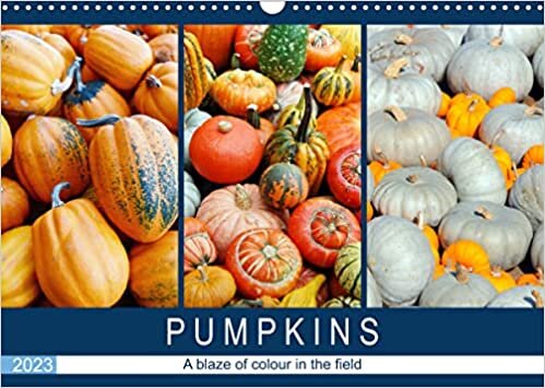 ダウンロード  Pumpkins - A blaze of colour in the field (Wall Calendar 2023 DIN A3 Landscape): The great variety of pumpkins (Monthly calendar, 14 pages ) 本